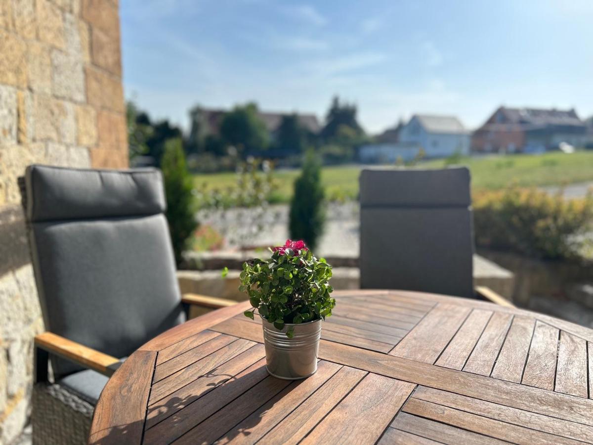 Schlosspark Apartment I 80Qm I 3 Betten I Bei Dresden 海德瑙 外观 照片